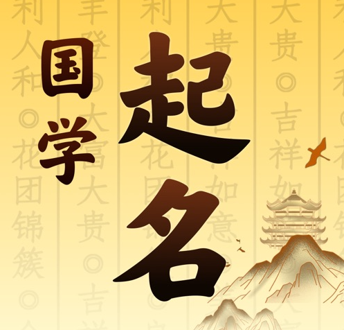 金明国学起名 人工起名一对一